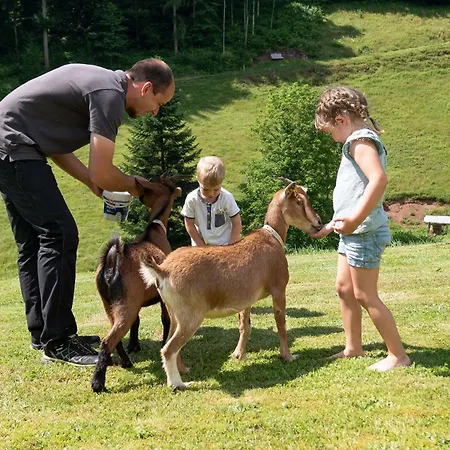 Springhansenhof Oppenau