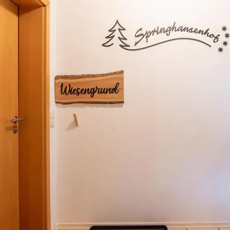Apartment Springhansenhof *